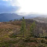 Bardufoss Hotell 2*