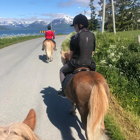 Hotel Bardufoss Hotell 2*