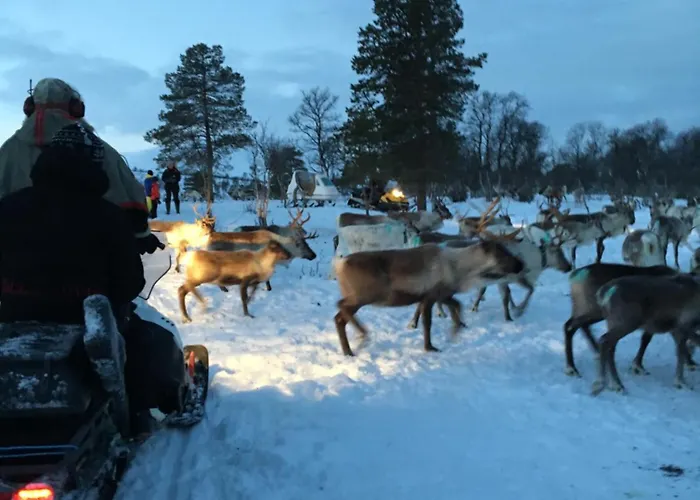 Bardufoss Hotell Ξενοδοχείο Bardufoss