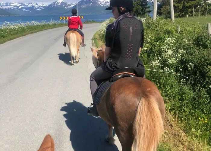 Ξενοδοχείο Bardufoss Hotell 2*