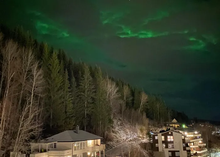 Ξενοδοχείο Bardufoss Hotell 2*